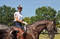 Polizeidirektion   154
